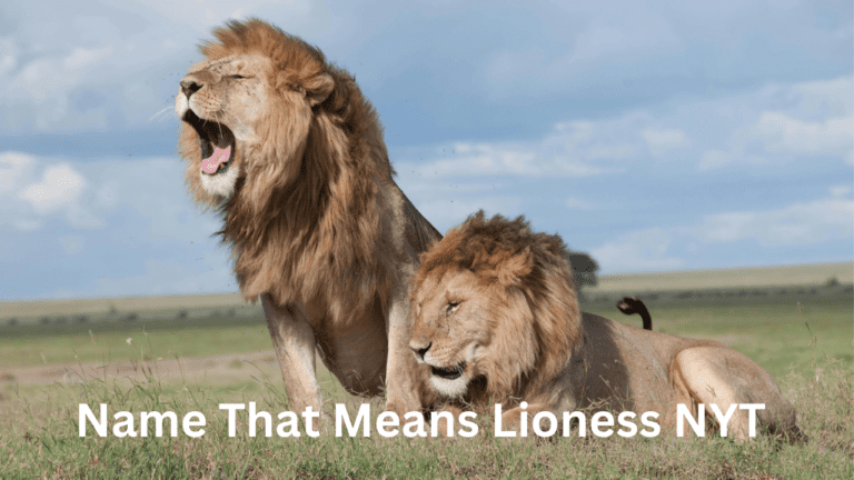 Name That Means Lioness: Insights from the NYT on Symbolism, Popularity, and Cultural Significance