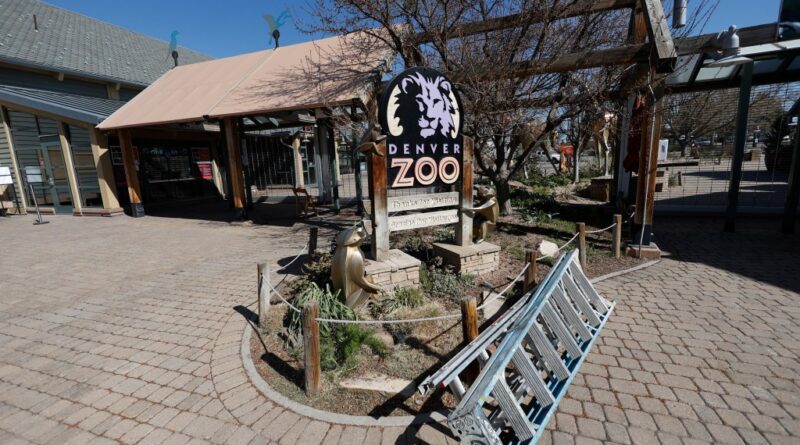 Denver zoo closes early over the weekend to prevent wild teens from pulling off TikTok-inspired ‘takeover’ trend