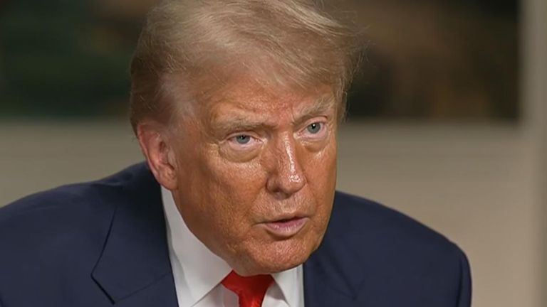 Donald Trump says ‘very wealthy group’ has agreed to buy TikTok in the US