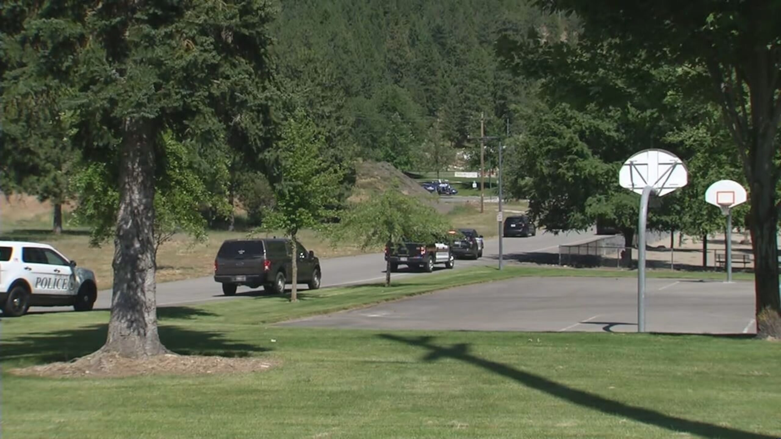 Firefighters ambushed by gunman while responding to brush fire in Idaho: Sheriff