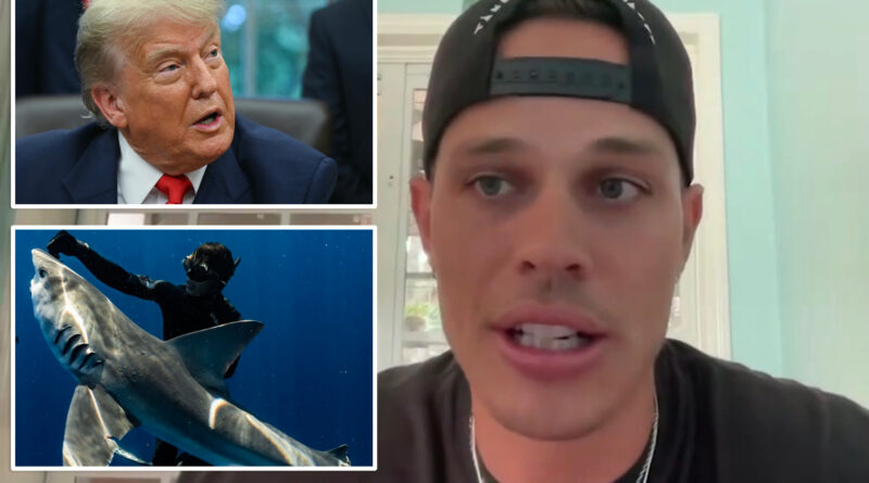 Florida diver convicted of freeing 19 sharks says he’s ‘speechless’ after getting pardon from President Trump