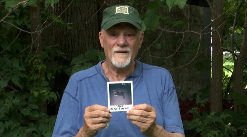Lansing man begs for help to save his cat, stuck in tree for four days