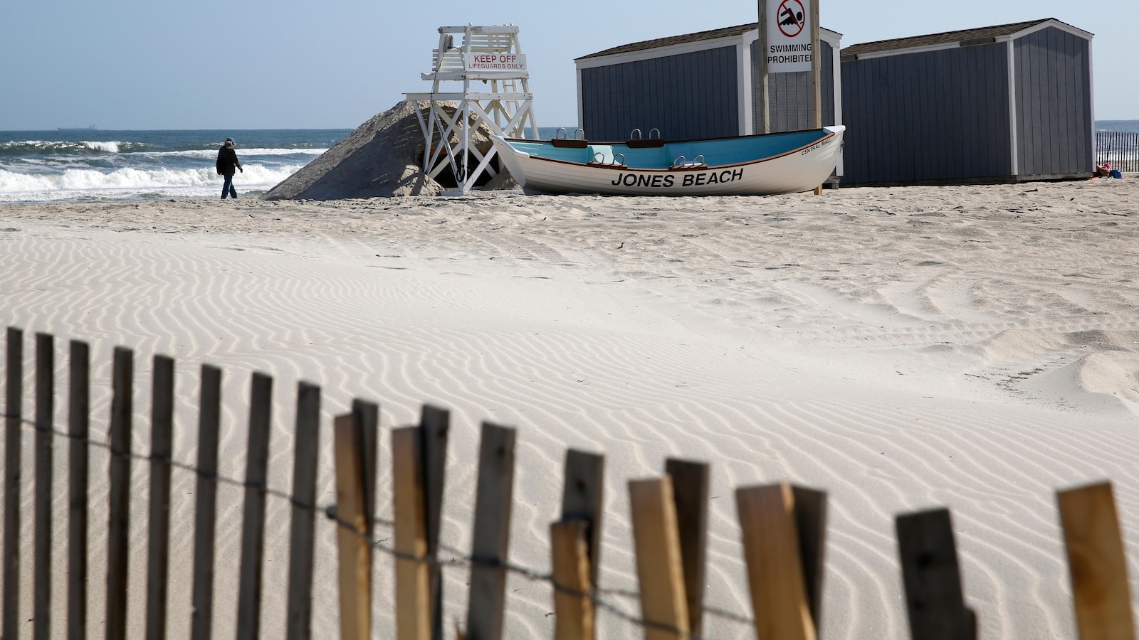 Officials believe young shark bit a woman at a New York beach