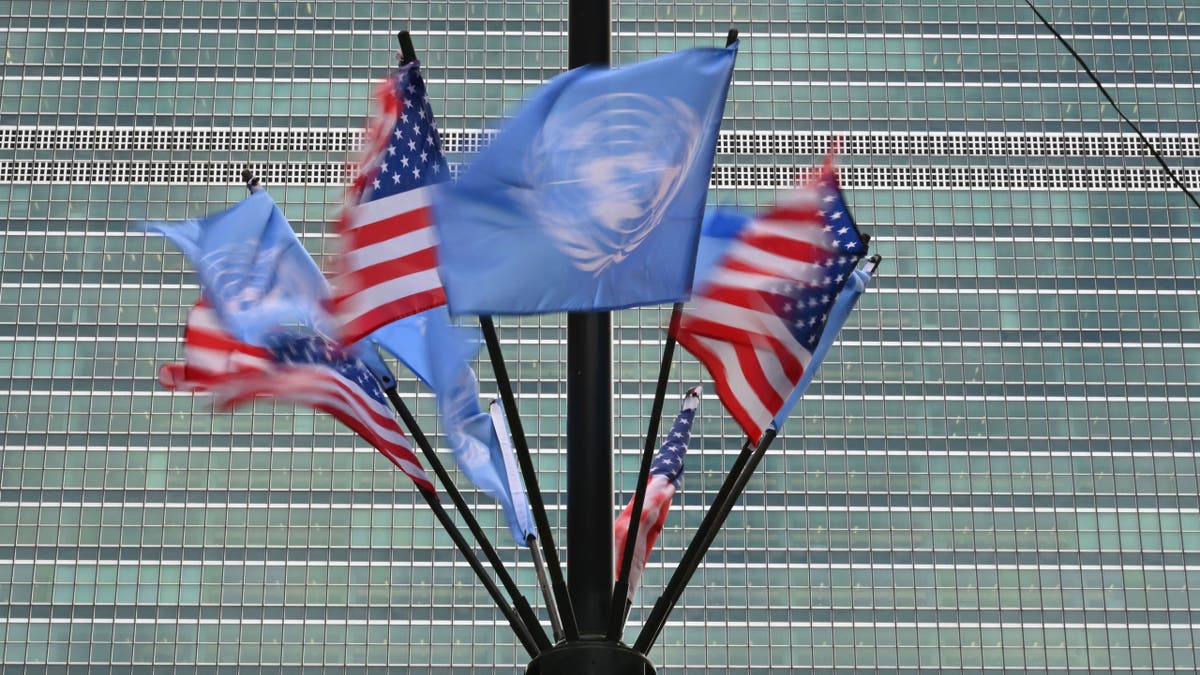 Revealed: The extensive perks UN officials receive amid budget crisis