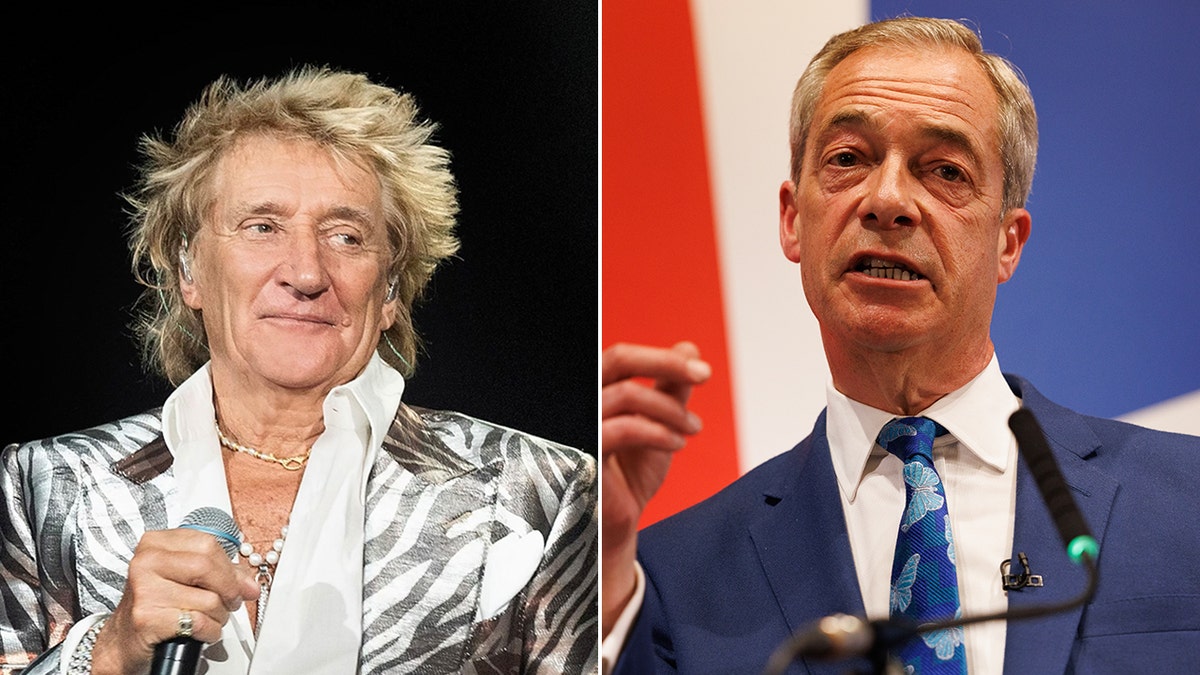 Rod Stewart says he backs Brexit leader Nigel Farage in wide-ranging political discussion