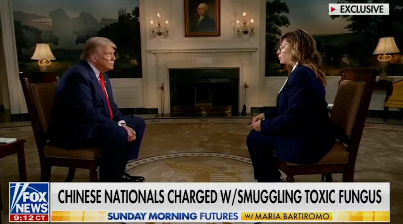 Trump leaves Maria Bartiromo speechless after suggesting US is hacking China: ‘You don’t think we do that?’
