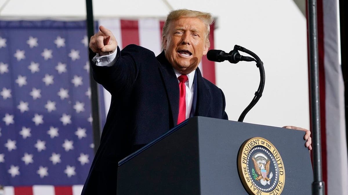 Trump reveals who should testify on Biden administration’s alleged cover-up