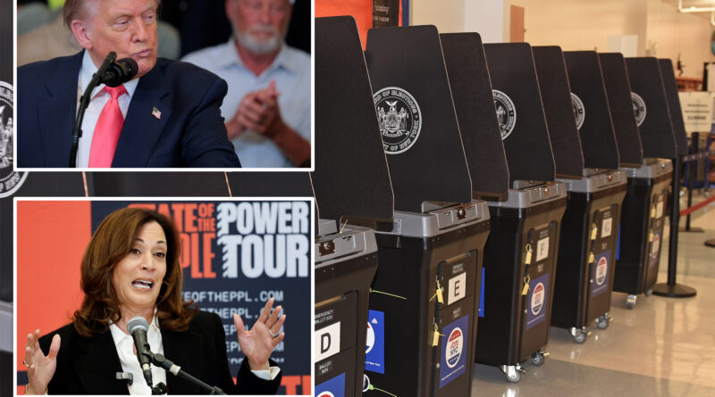 Trump won more than half of foreign-born Hispanics — still would have beaten Harris if every eligible person voted in 2024 election: analysis