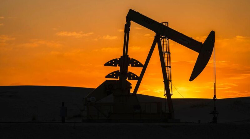 UN expert urges criminalizing fossil fuel disinformation, banning lobbying