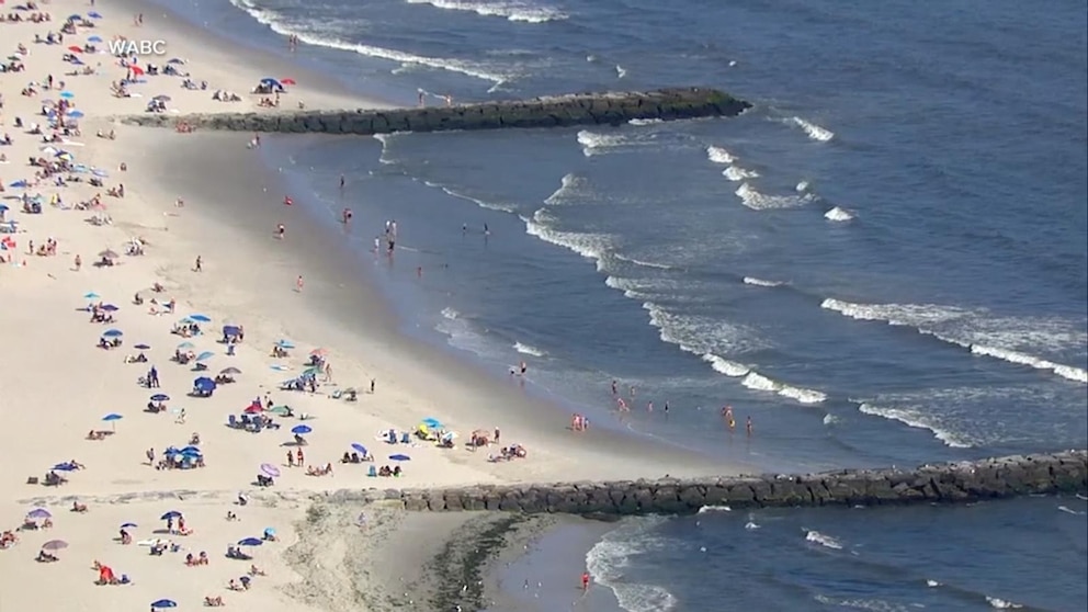 Video Suspected shark encounter at popular New York beach