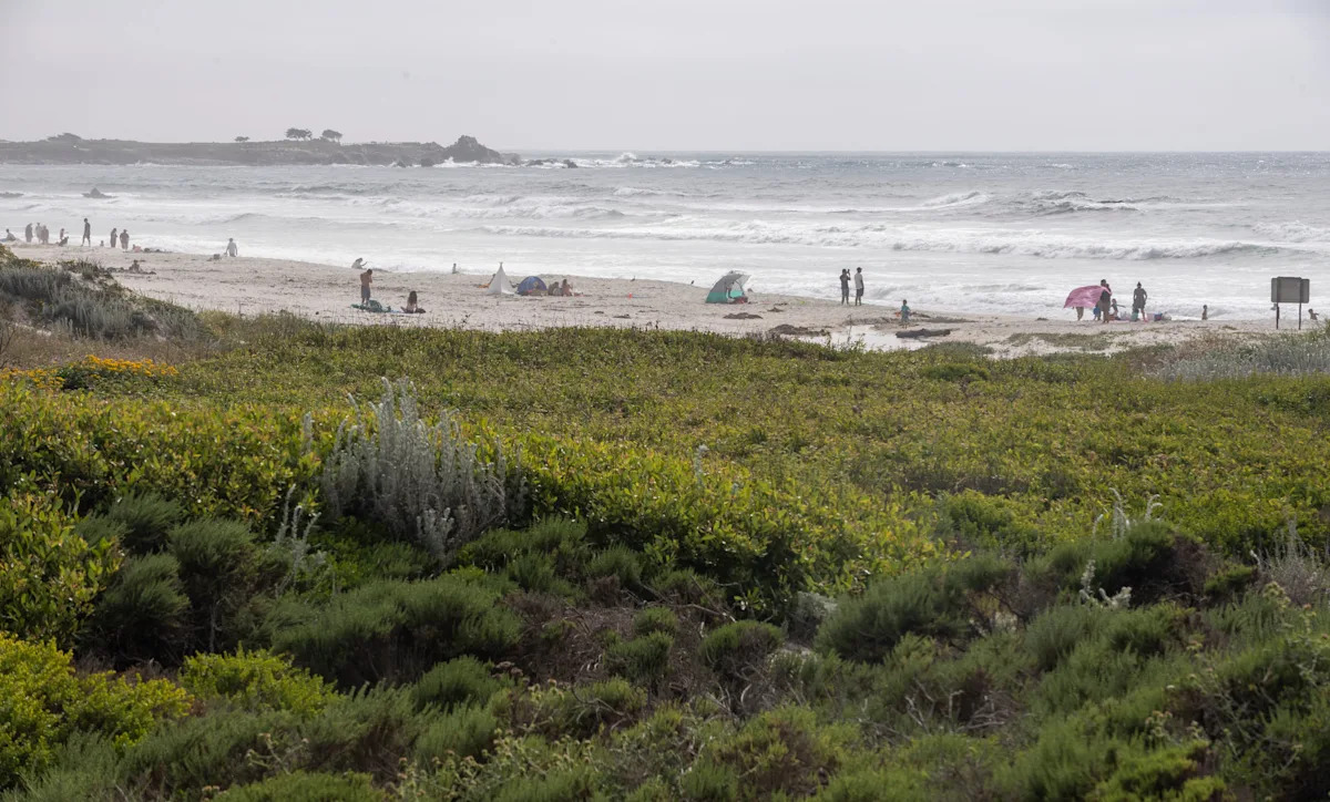 3 bodies recovered from small plane crash in California: Reports