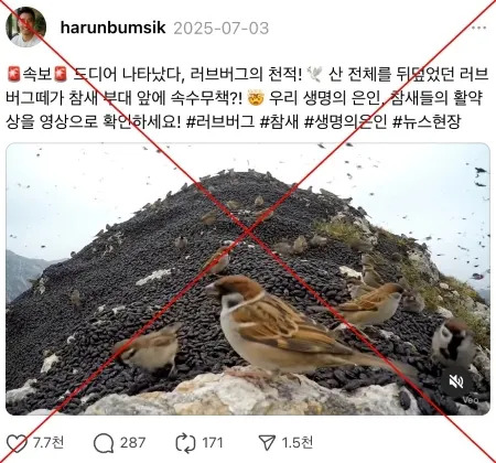AI-generated clip of ‘sparrows eating lovebugs’ fools S. Korean users