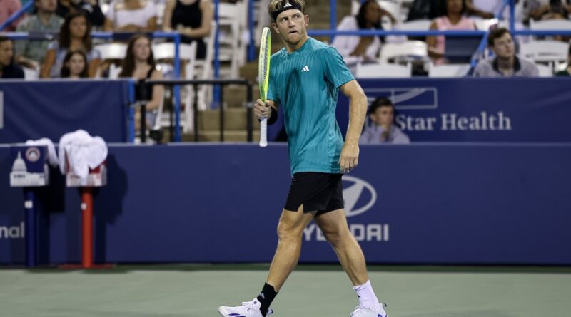 ATP Washington Final: De Minaur vs. Davidovich Fokina odds, picks, and prediction