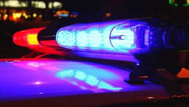 Bag of animal organs found in Morris County town, police say as investigation continues