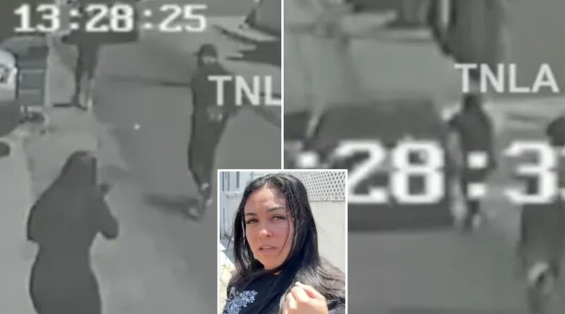 Brave mom chases down thieves, smashes window of getaway car with bare hand after catching them robbing her California home
