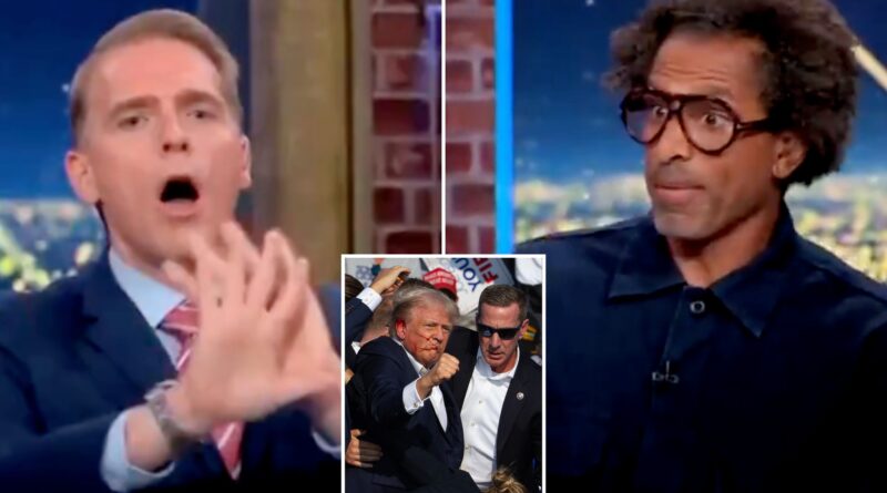 CNN panel devolves into chaos after lefty commentator suggests Trump wasn’t actually shot in the ear