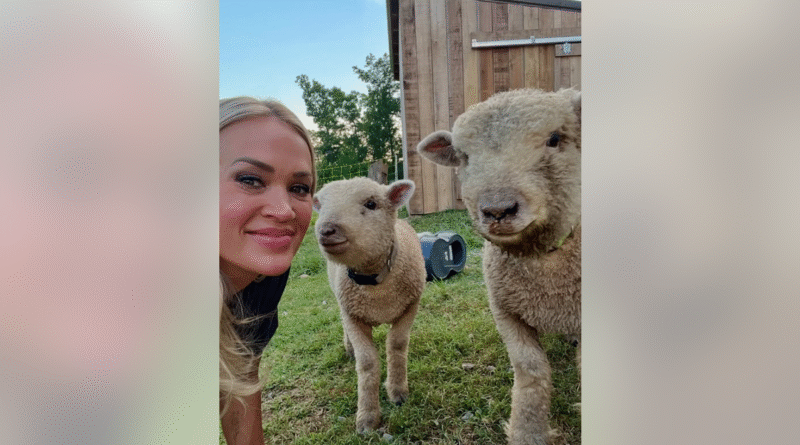 Carrie Underwood fully embraces traditional country living on her Tennessee farm
