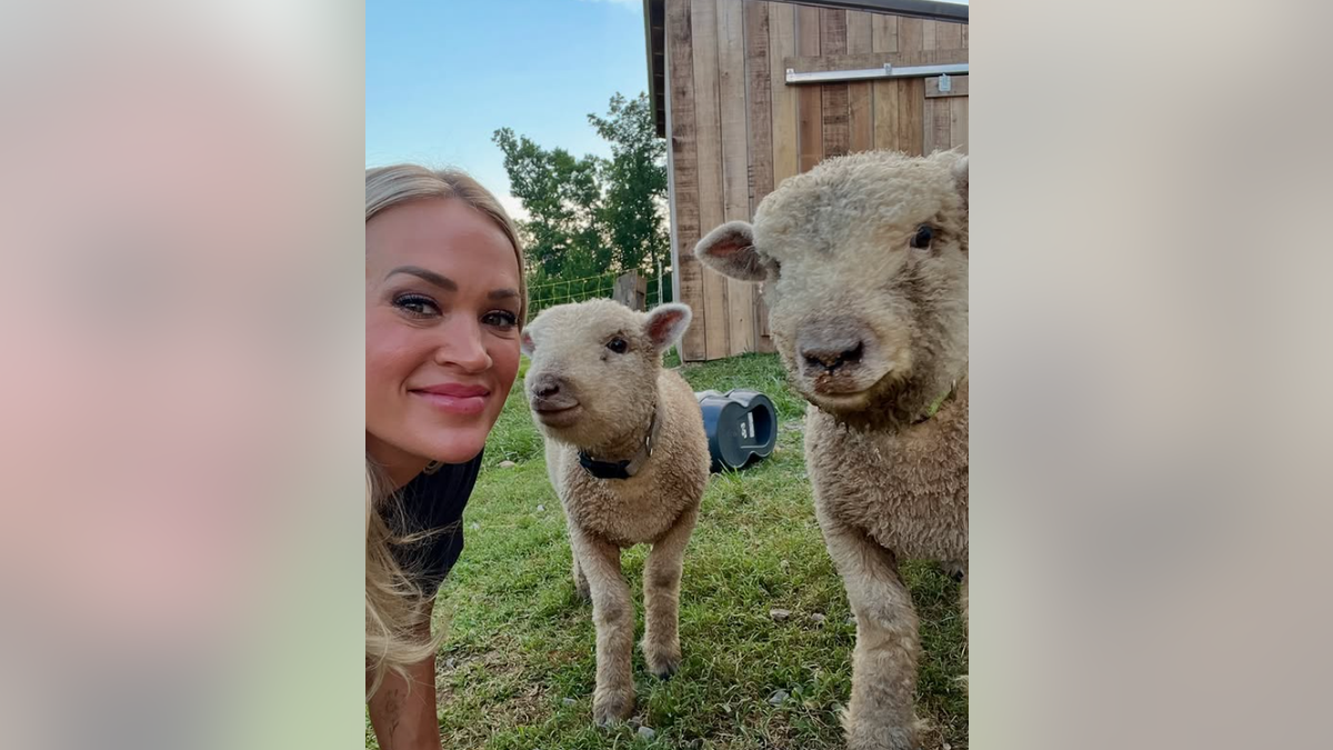 Carrie Underwood fully embraces traditional country living on her Tennessee farm