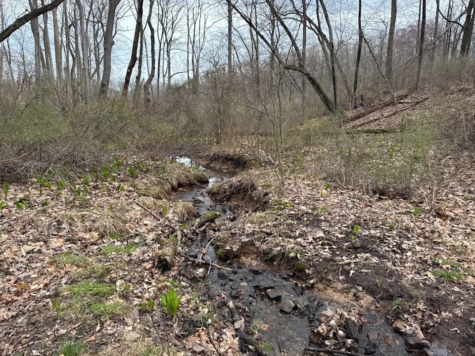 Conservation group has secured an additional 55 acres in this Bucks County township