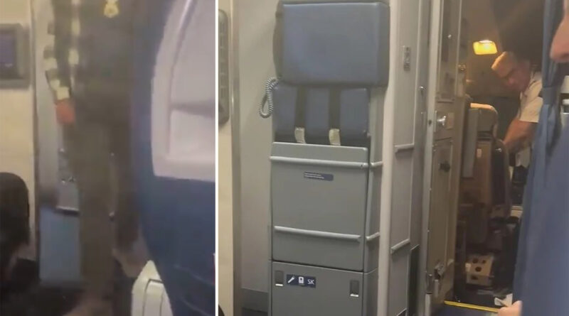 Delta Airlines pilot arrested by ICE agents moments after landing plane at San Francisco airport