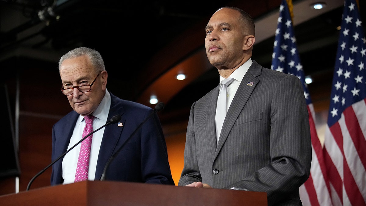 Political analyst says Democrats are already worried about the ‘big problem’ of winning back voters for 2028