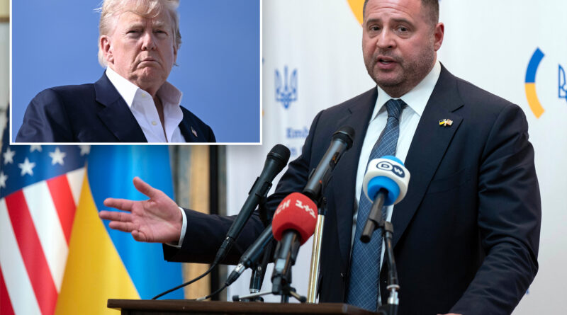 Exclusive | Top Zelensky official praises Trump for giving Putin 10 days to end Ukraine invasion: ‘When America is serious, Russia backs down’