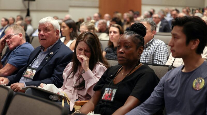Families of DC plane crash victims break down in hearing as new video is released