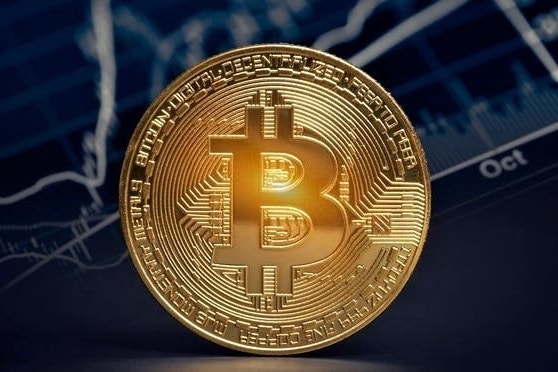 Finance Professors Say Bitcoin Is ‘Not Backed By Anything’ — Yet Crypto Investors Are Defying The Critics