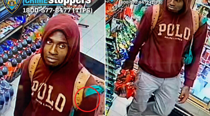 Heartless killer seen pouring flammable liquid on pit bull before setting dog on fire in NYC
