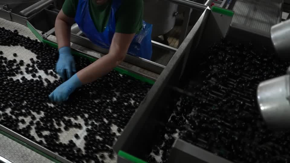 How Spanish olive exporters survived Trump tariffs since 2017