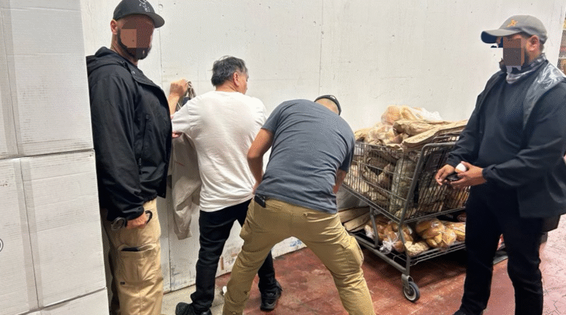 ICE arrests illegal immigrant accused of decapitating Illinois woman after judge set him free