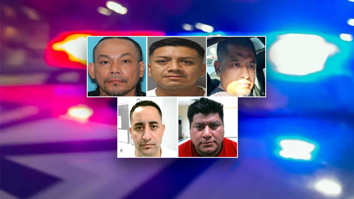 Illegal who conspired to bludgeon teen to death with baseball bat among latest ICE roundups