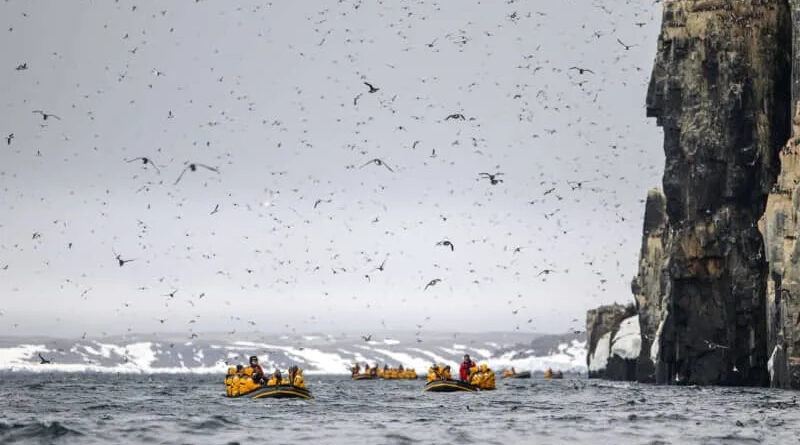 Is there more to the Arctic than searching for polar bears?
