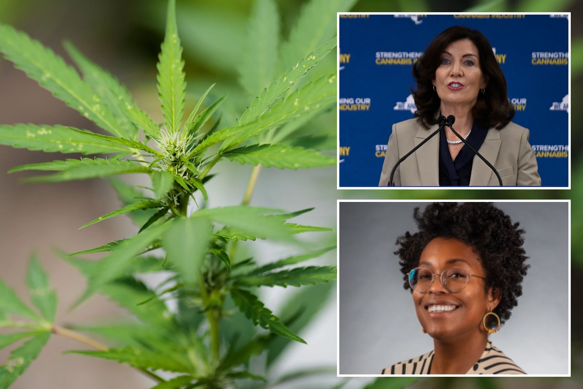 Legal NY pot sellers fume over latest Albany cannabis screw up  — which they fear could cost them millions and snuff out their businesses