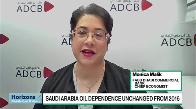Malik: Saudi Arabia’s Dependency on Oil Will Continue