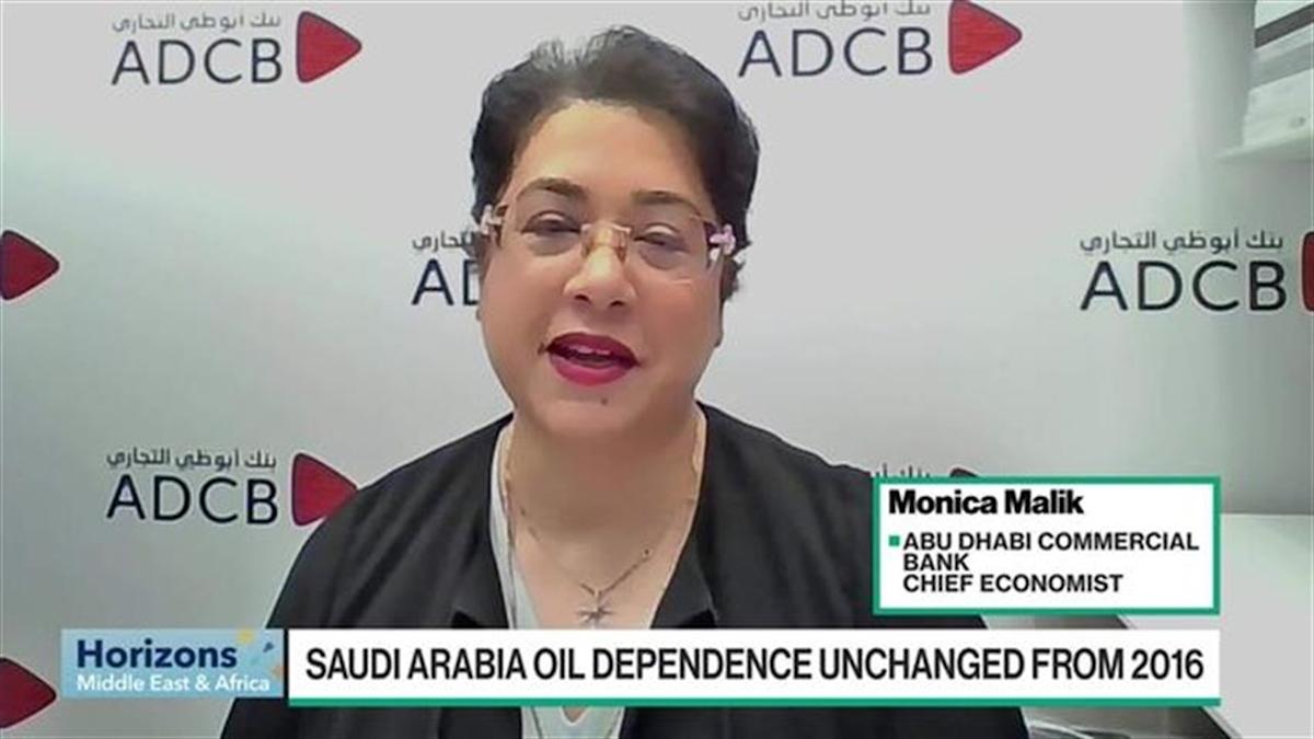 Malik: Saudi Arabia’s Dependency on Oil Will Continue