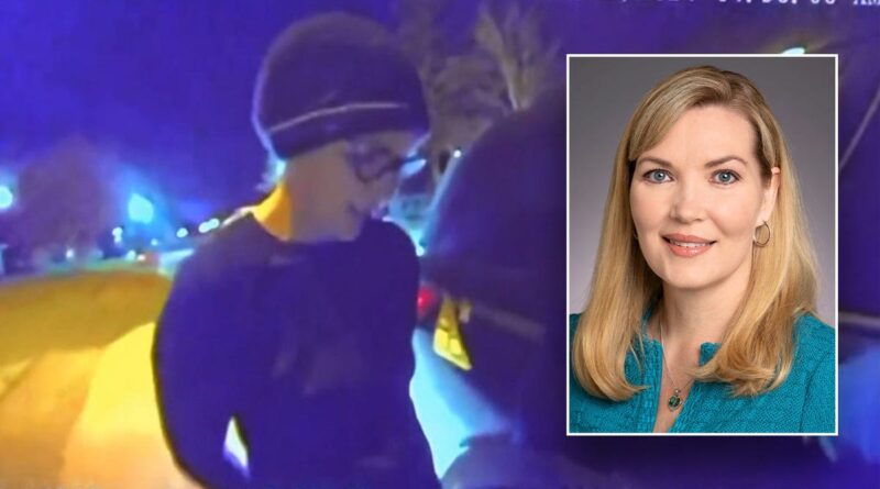 Minnesota state lawmaker convicted of felony burglary after breaking into stepmom’s home