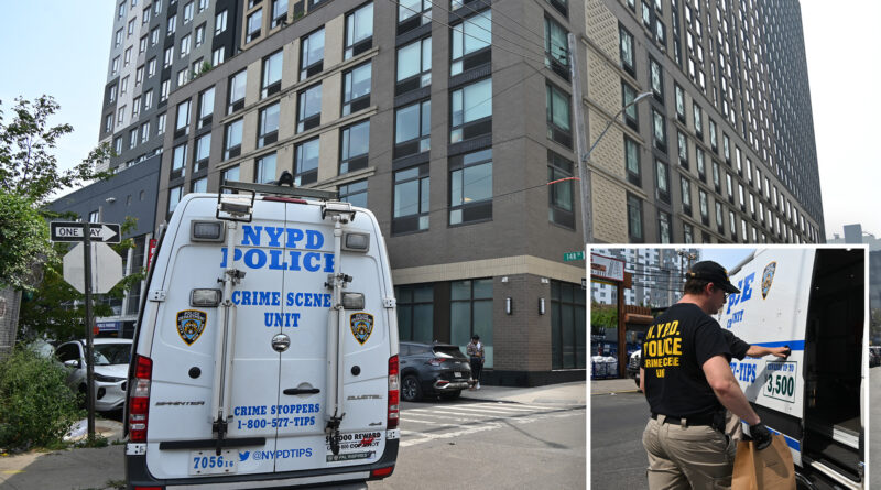 New Yorker, 23, raped at knifepoint by stranger in her apartment: cops