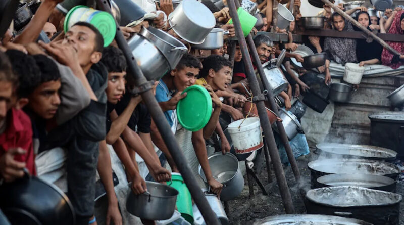 Photos: Starvation and Chaos in Gaza