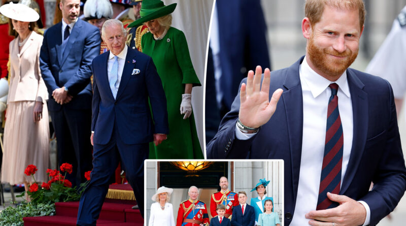 Prince Harry offers to share his personal diary with the royals in attempt to ‘deconflict’: report