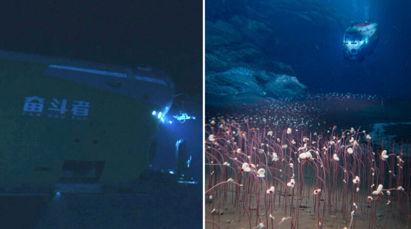 Researchers discover never-before-seen aquatic life hiding in the darkest depths of the ocean