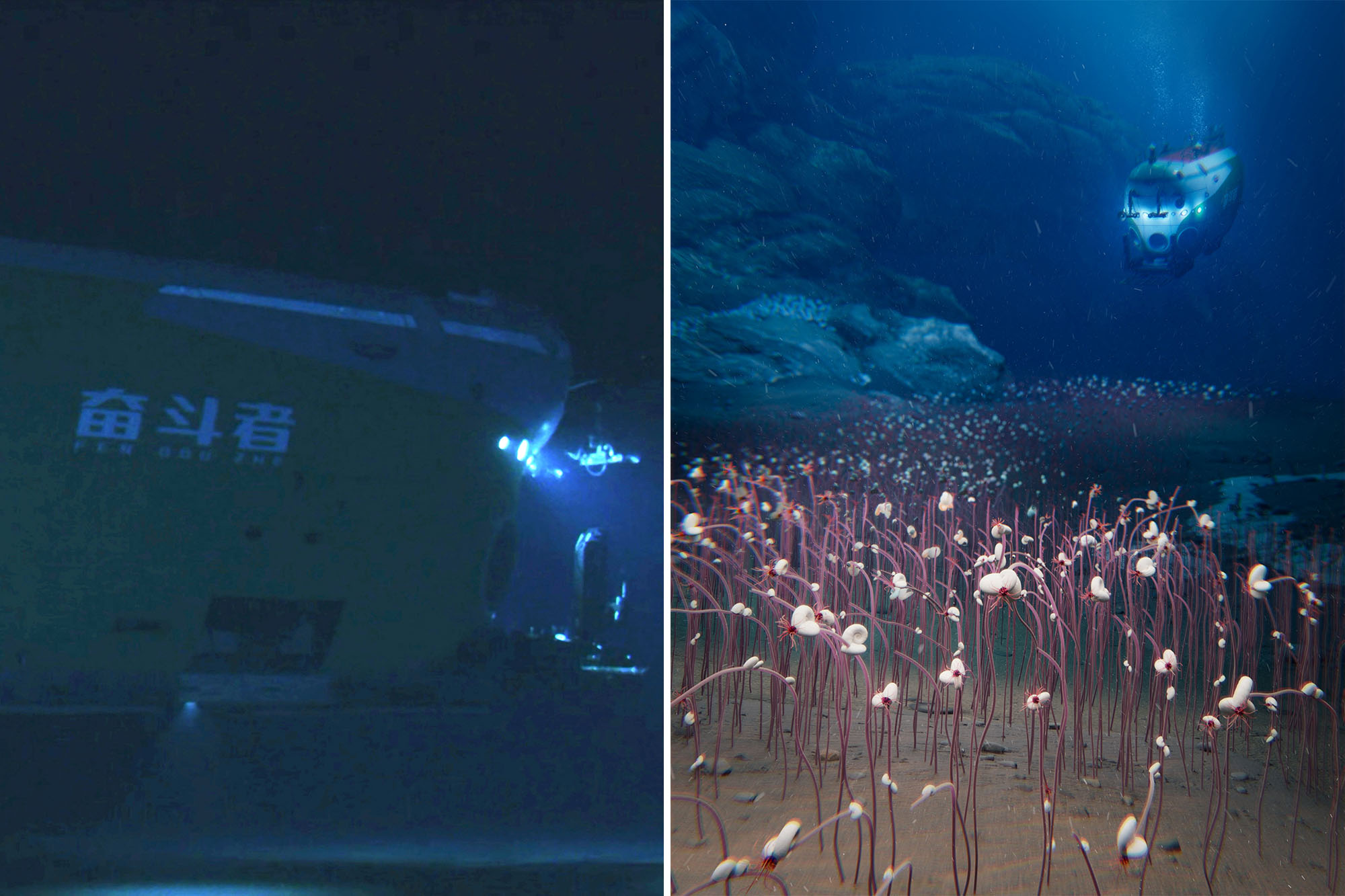 Researchers discover never-before-seen aquatic life hiding in the darkest depths of the ocean