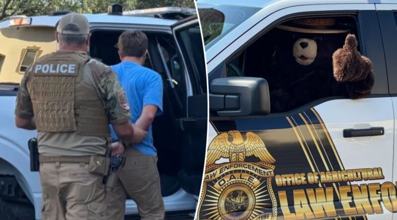 Smokey the Bear arrests man for allegedly stealing his signs in Florida to sell on Facebook: ‘Dumb criminals’