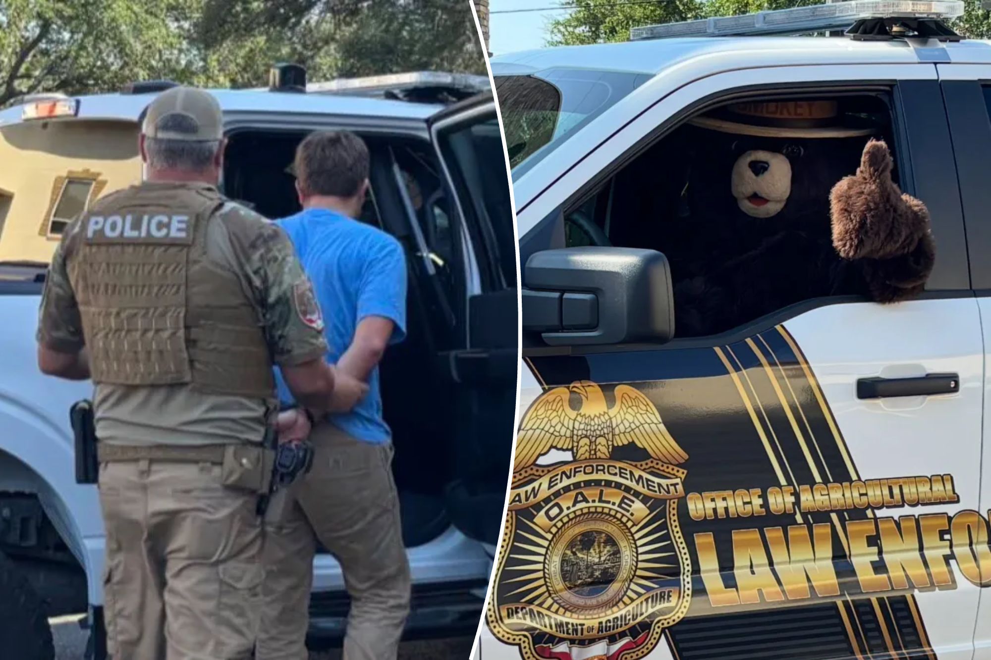 Smokey the Bear arrests man for allegedly stealing his signs in Florida to sell on Facebook: ‘Dumb criminals’