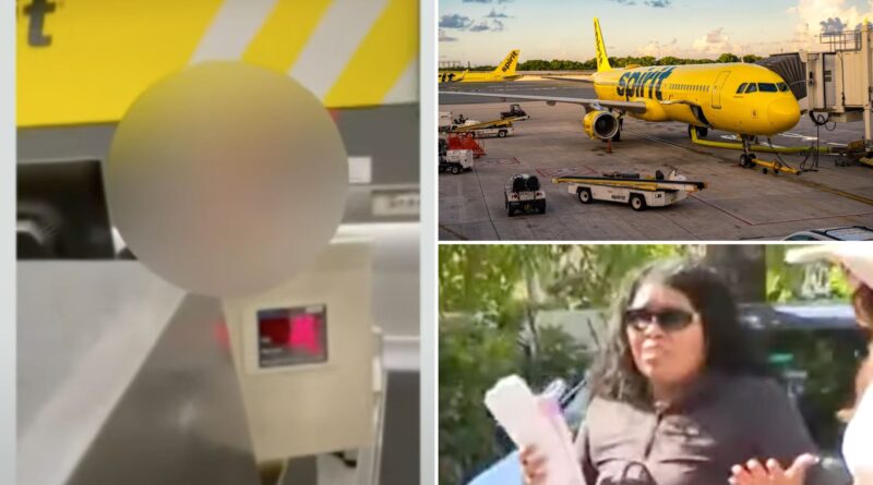 Spirit Airlines passenger fumes as workers refuse to let her board plane after cosmetic surgery