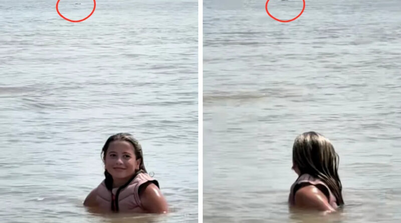 Terrifying video shows moments giant alligator swims up behind 12-year-old wakeboarder in Texas