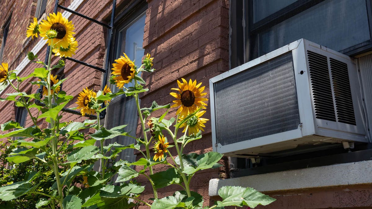 The hottest deals on air conditioners to help you keep cool this summer