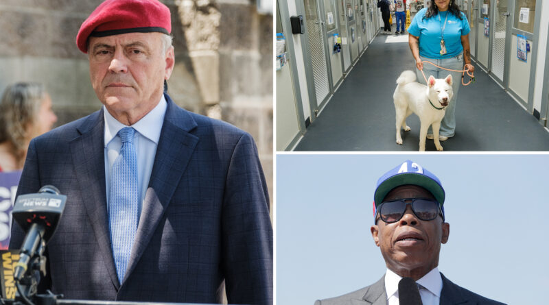 Trouble-packed NYC animal shelters land another M in taxpayer funds — GOP’s Sliwa slams as ‘drop in the bucket’