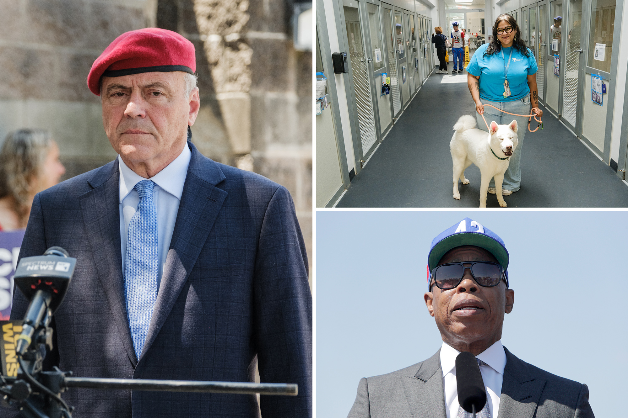Trouble-packed NYC animal shelters land another $1M in taxpayer funds — GOP’s Sliwa slams as ‘drop in the bucket’