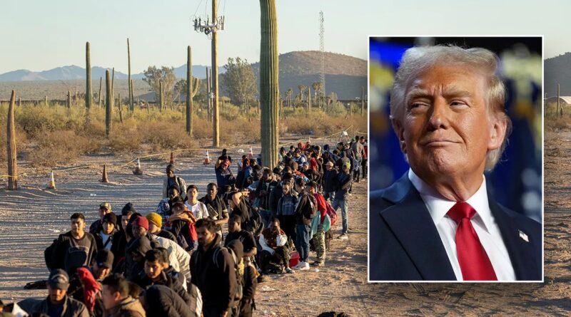 Trump’s border enforcement unleashes new weapon against illegal immigration